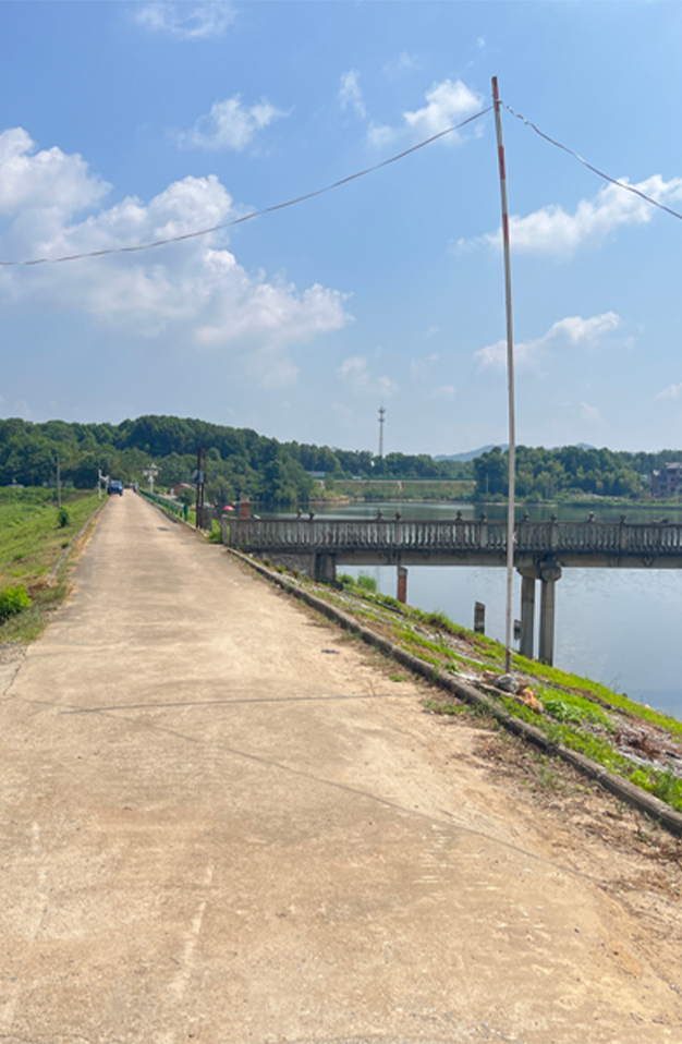黄石市某水库堤坝白蚁防治