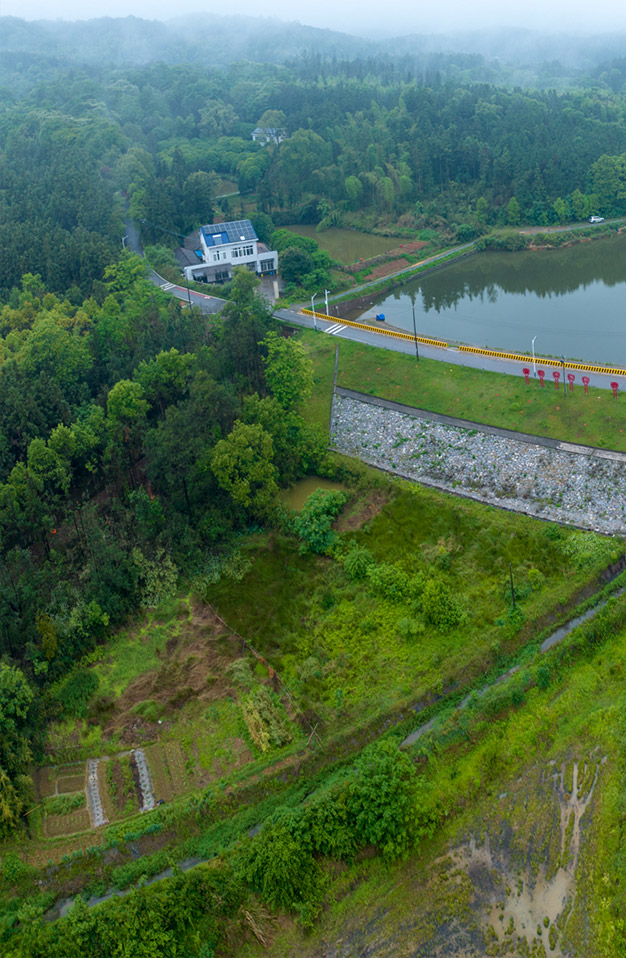 湖南某垸堤防水利工程白蚁监测