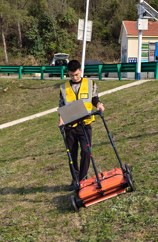汉江遥堤白蚁巢穴探测