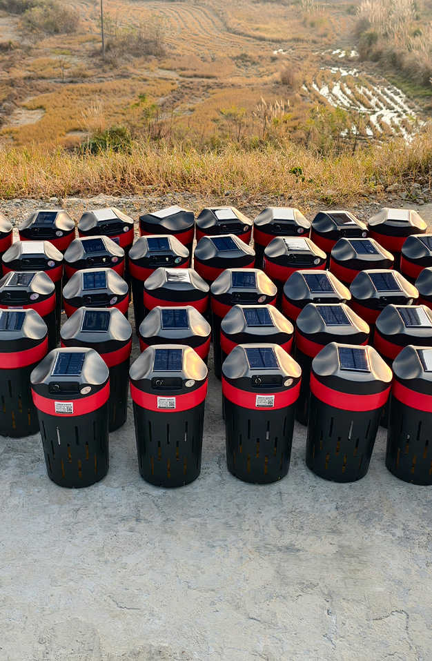 江西九江某水库白蚁可视化监测