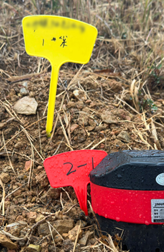 江西某水库堤坝白蚁可视化监测