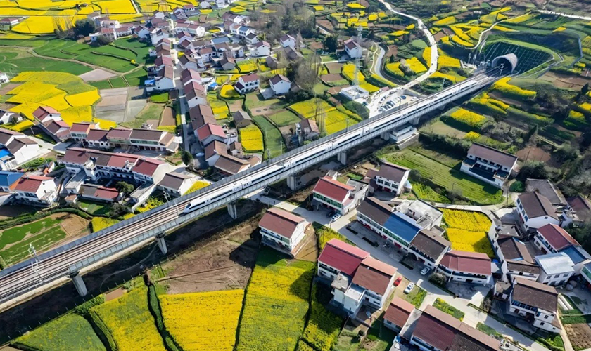 智能白蚁监测装置加速铺设，保障铁路安全