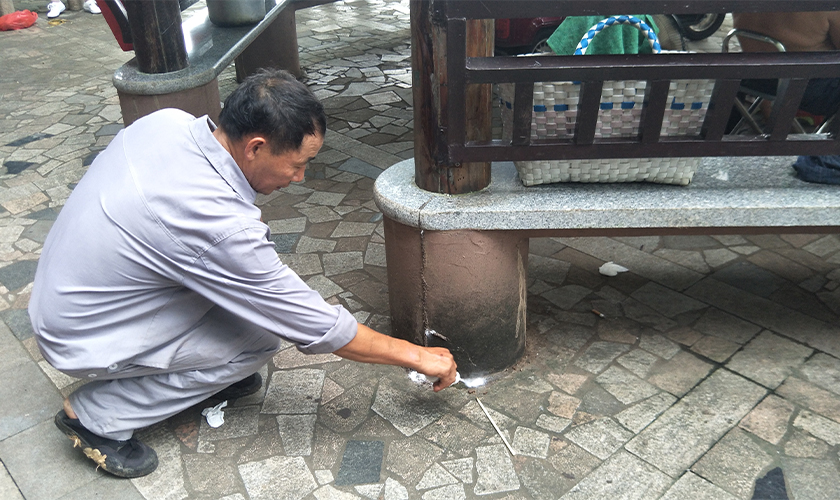 东湖公园科学应对白蚁威胁，多措并举守护绿色生态安全