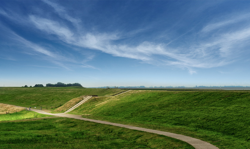 嘉兴上线白蚁监测大数据平台，智慧防治护航水利工程安全