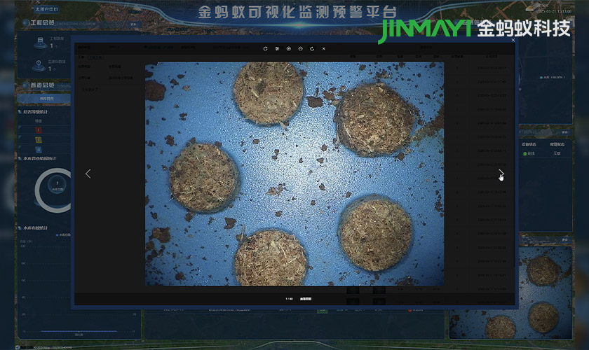 金蚂蚁科技白蚁可视化监测解决方案：以科技之名，筑起坚不可摧安全防线