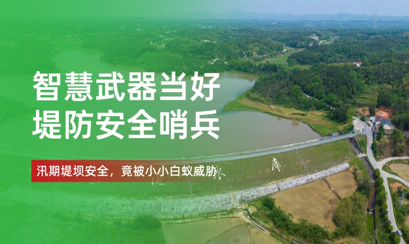 科技守护堤坝&ldquo;健康&rdquo;：金蚂蚁用科技如何预警白蚁侵蚀，筑牢生命线