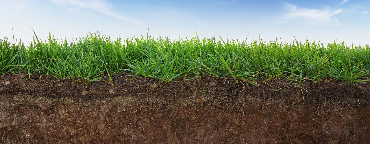 土壤健康探测方案