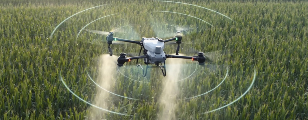 农作物长势普查方案