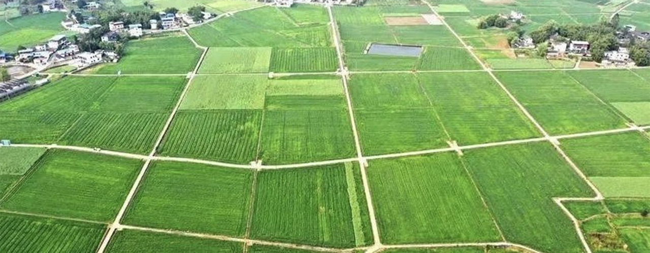 高标准农田监测方案