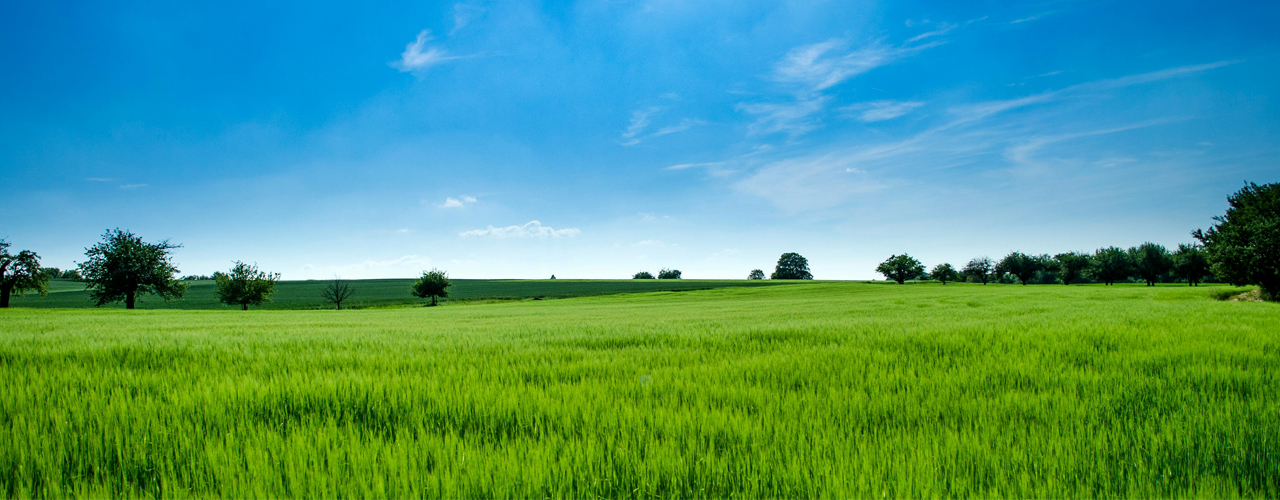 农业四情监测方案